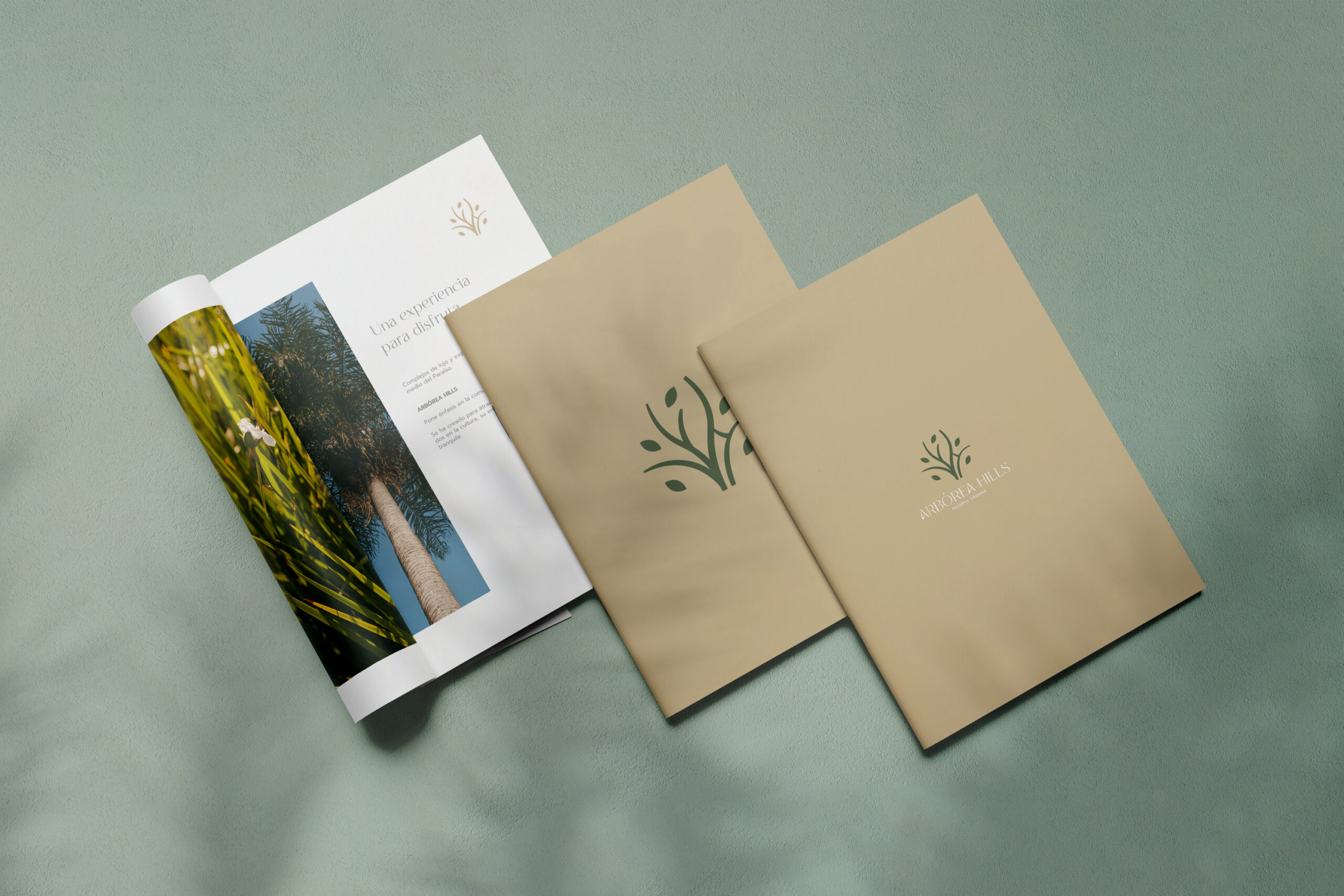 mockup-carpeta